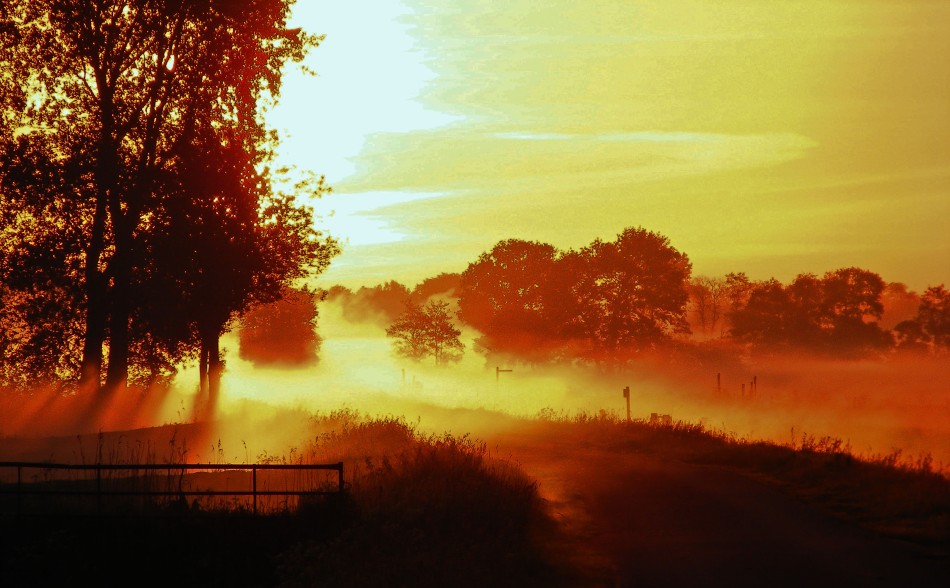 A Misty Morning in May 033